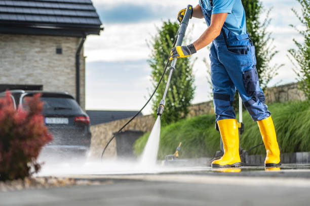 Roof Power Washing Services in Oregon, IL